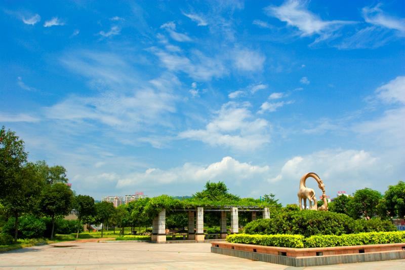 “圍捕雪豹”“漂流小孩哥大鬧幼兒園”等都是謠言！10起網(wǎng)絡(luò)謠言案件公布