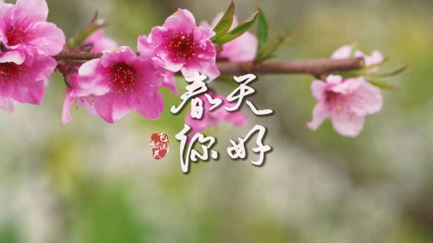 你好，韶關