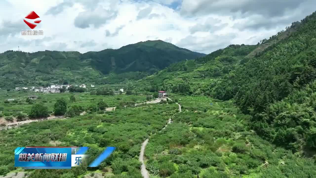 樂(lè)昌黃金柰李預(yù)計(jì)7月15日起陸續(xù)上市