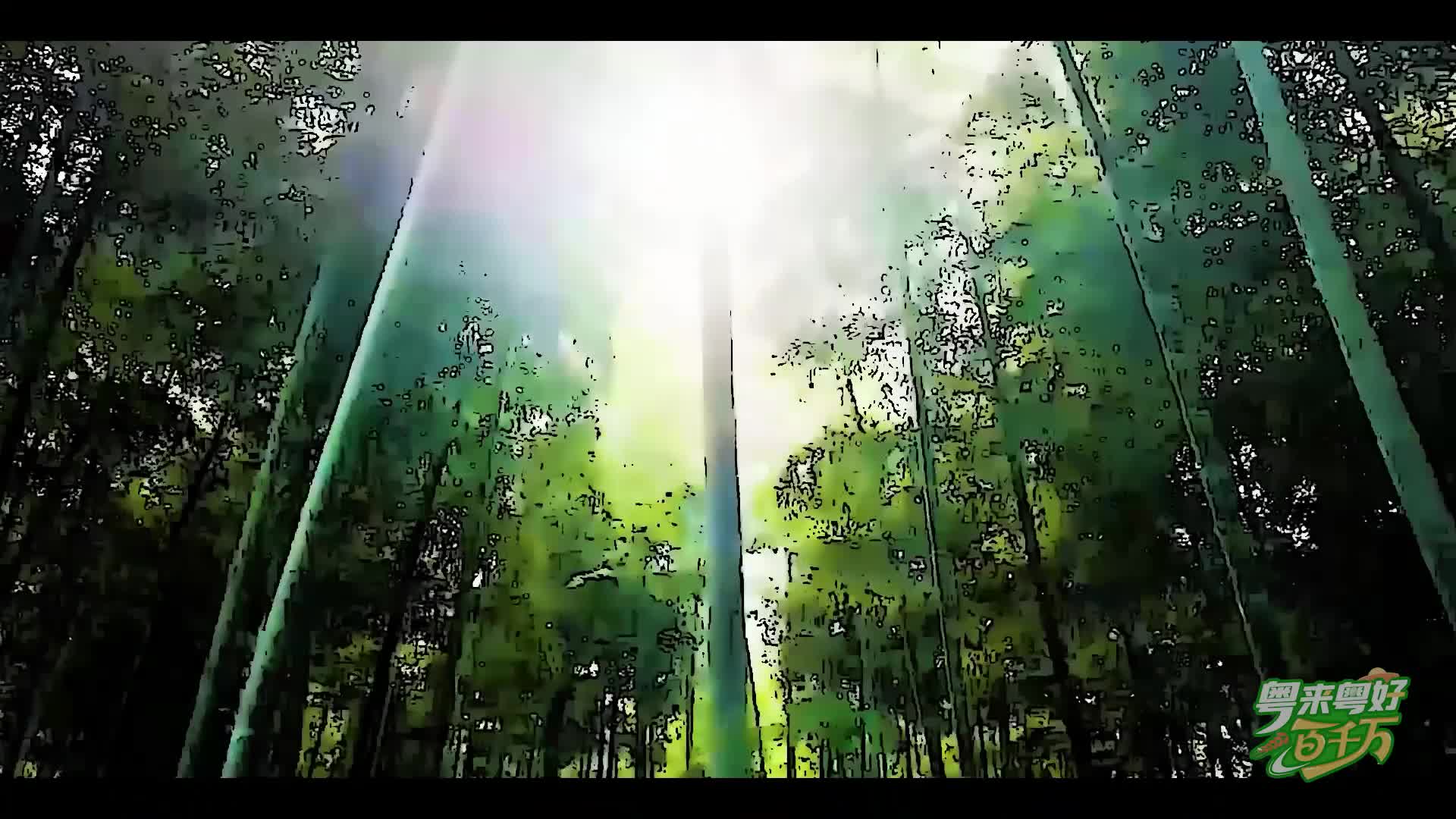 【粵來粵好百千萬】 種嶺南土特產(chǎn)系列：杏花雞