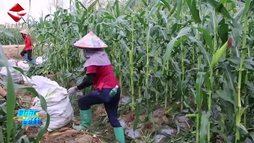 縣市區(qū)連線20250620