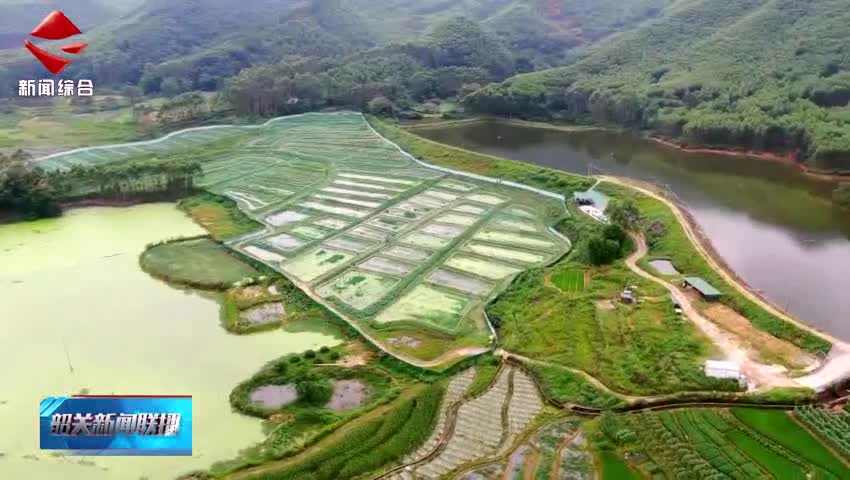 【粵來粵好百千萬】翁源松崗村：“稻蛙共生”頂呱呱 一田雙收“錢景”好
